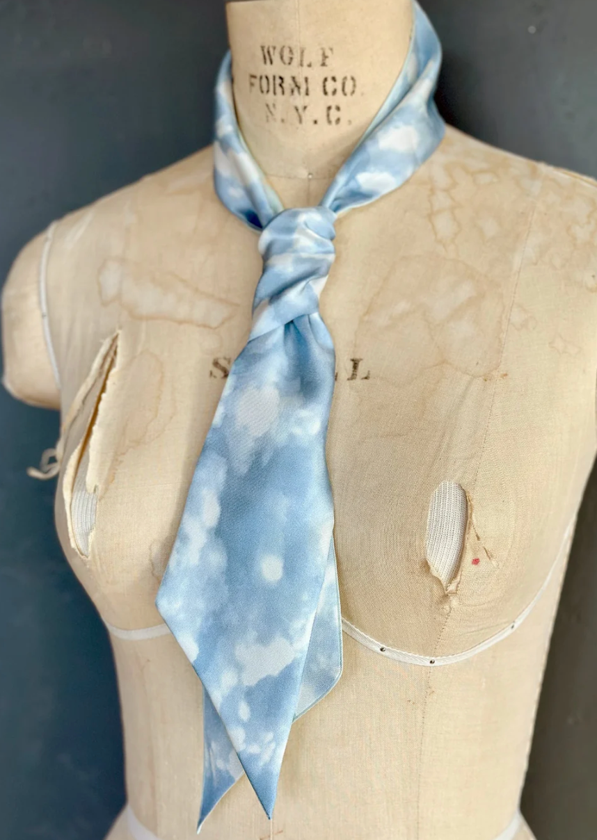 Day Dreaming of Bluebirds Petite Silky by At Home With Ray