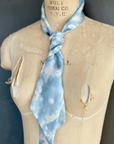 Day Dreaming of Bluebirds Petite Silky by At Home With Ray
