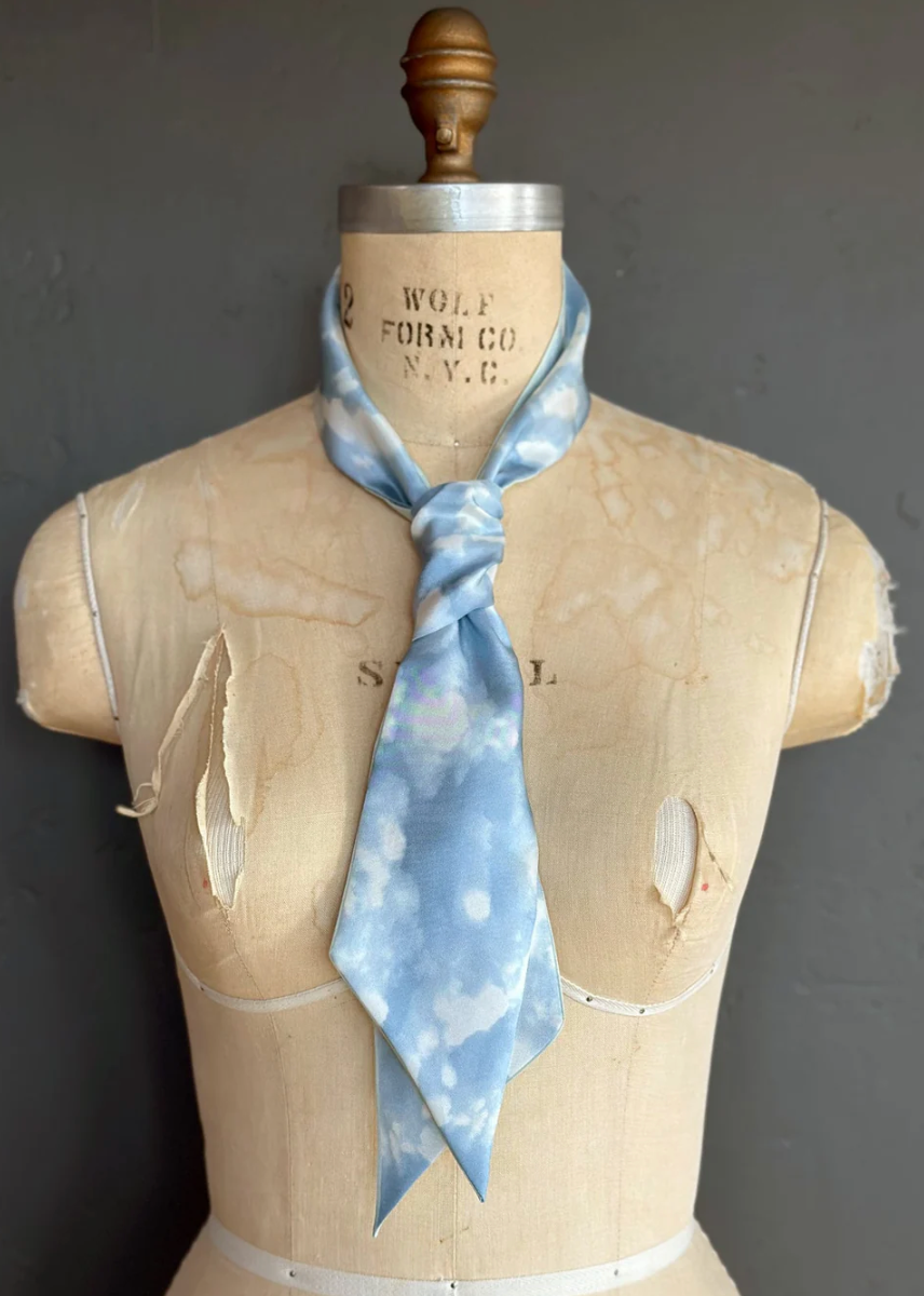 Day Dreaming of Bluebirds Petite Silky by At Home With Ray