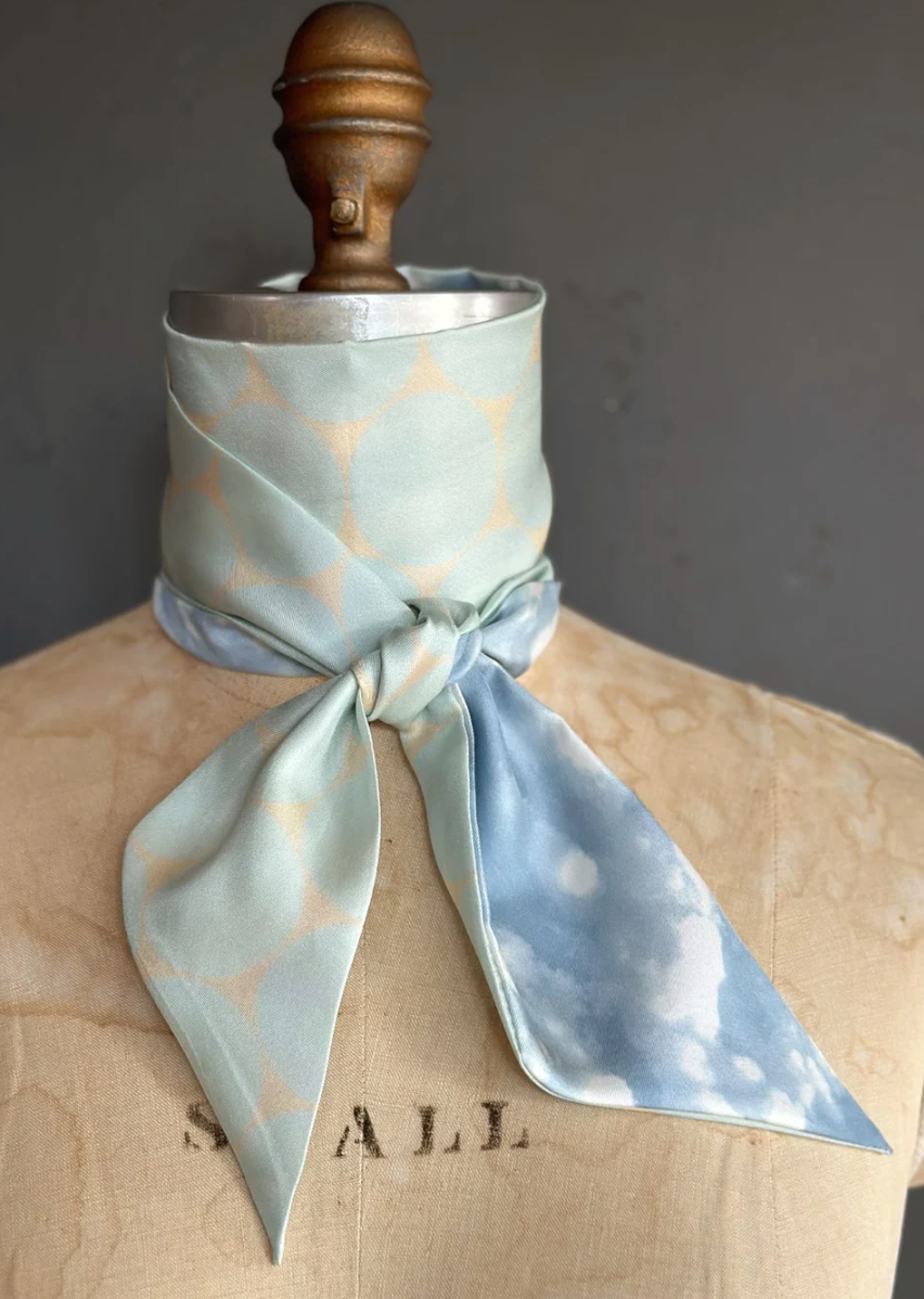 Day Dreaming of Bluebirds Petite Silky by At Home With Ray