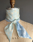 Day Dreaming of Bluebirds Petite Silky by At Home With Ray