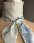 Day Dreaming of Bluebirds Petite Silky by At Home With Ray