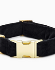 Black Velvet Dog Collar by The Froggy Dog