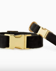 Black Velvet Dog Collar by The Froggy Dog