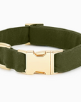Olive Dog Collar by The Froggy Dog