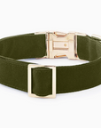 Olive Dog Collar by The Froggy Dog