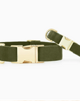 Olive Dog Collar by The Froggy Dog