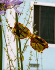 Heavy Tropix in Blonde Tortoise Bio / Polarized Mustard by Crap Eyewear