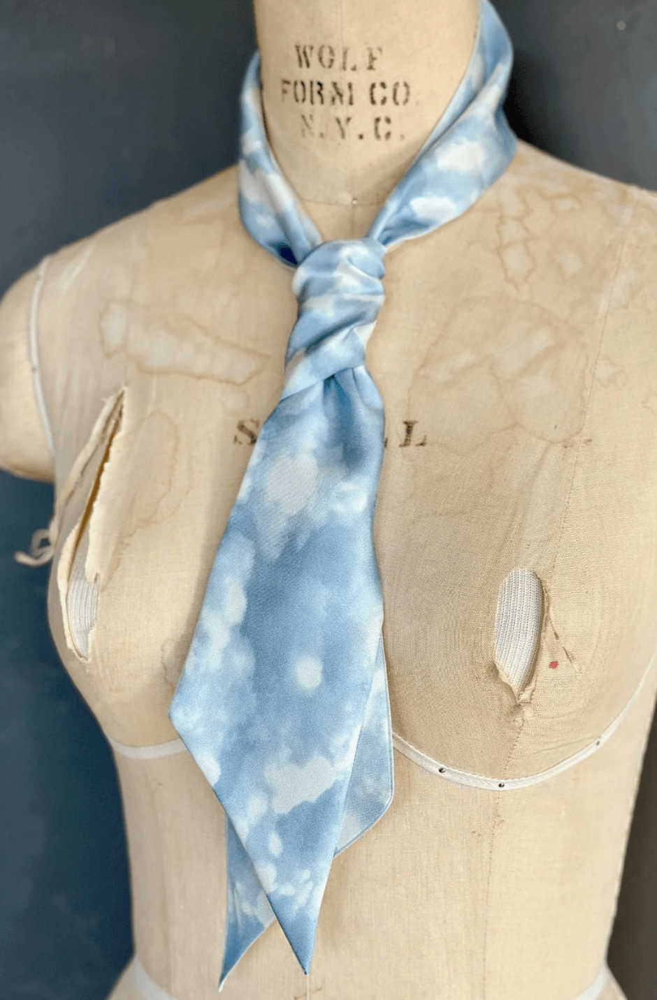 Day Dreaming of Bluebirds Petite Silky by At Home With Ray