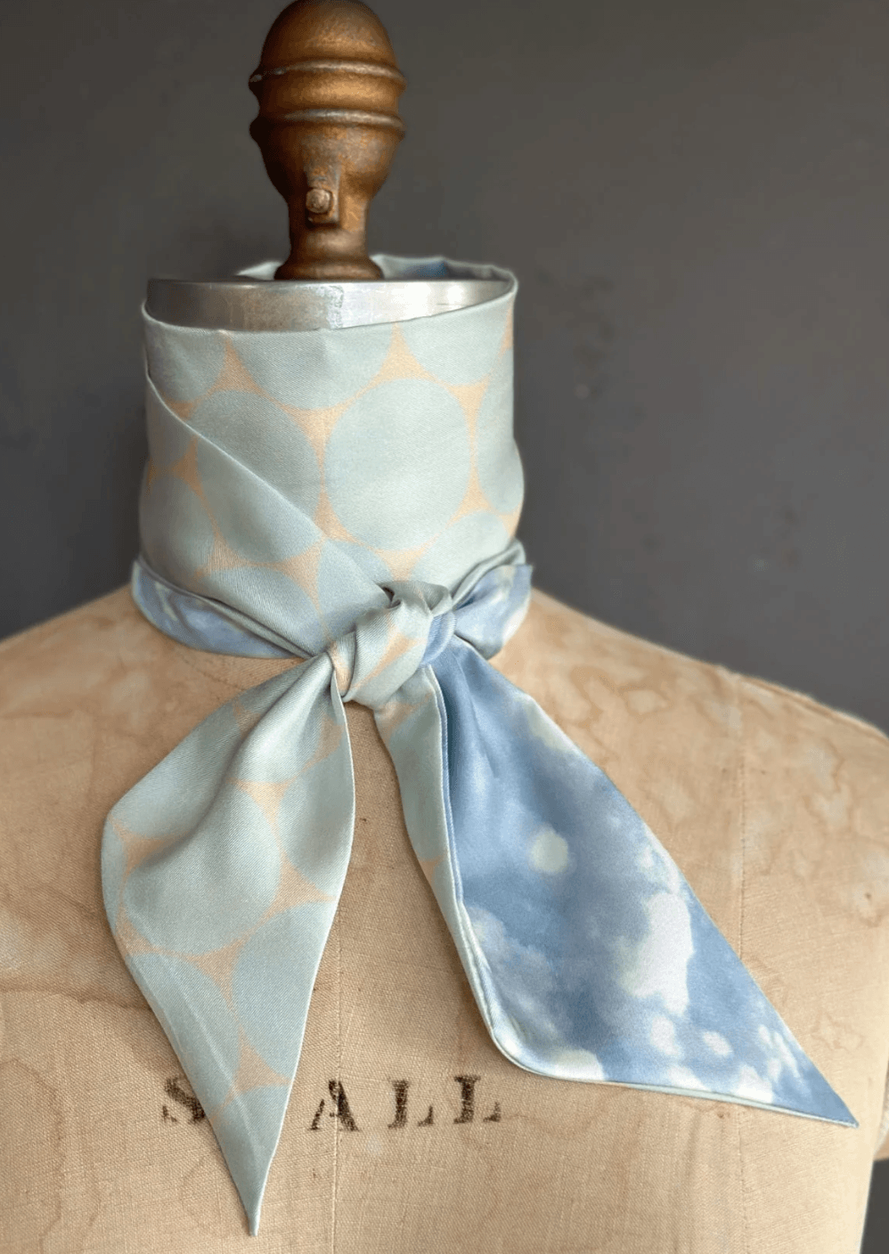 Day Dreaming of Bluebirds Petite Silky by At Home With Ray