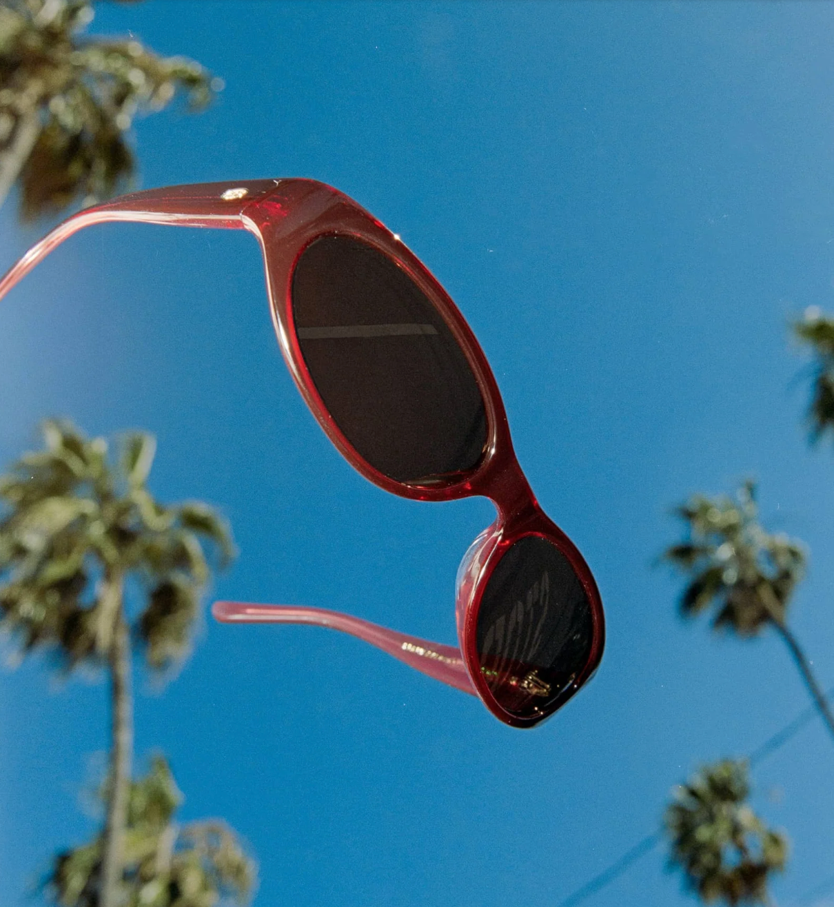 The Mini Funk in Crystal Black Cherry Bio / Desert by Crap Eyewear